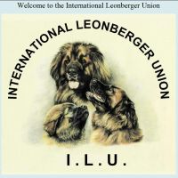 www.leonbergerunion.com